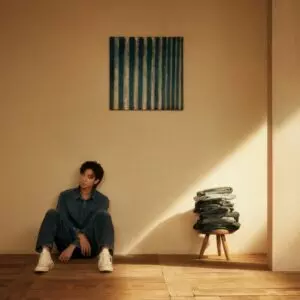 Перевод Альбома RM (BTS) - Indigo (2022)
